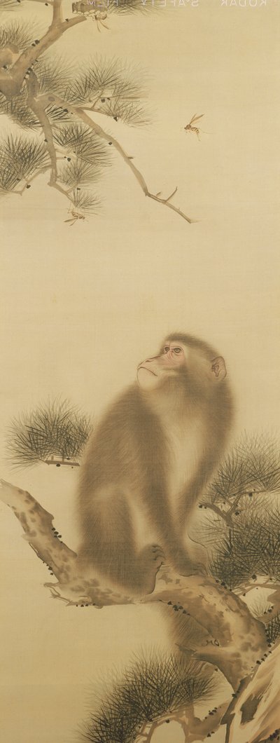 Monkey Watching a Dragonfly by Japanese School